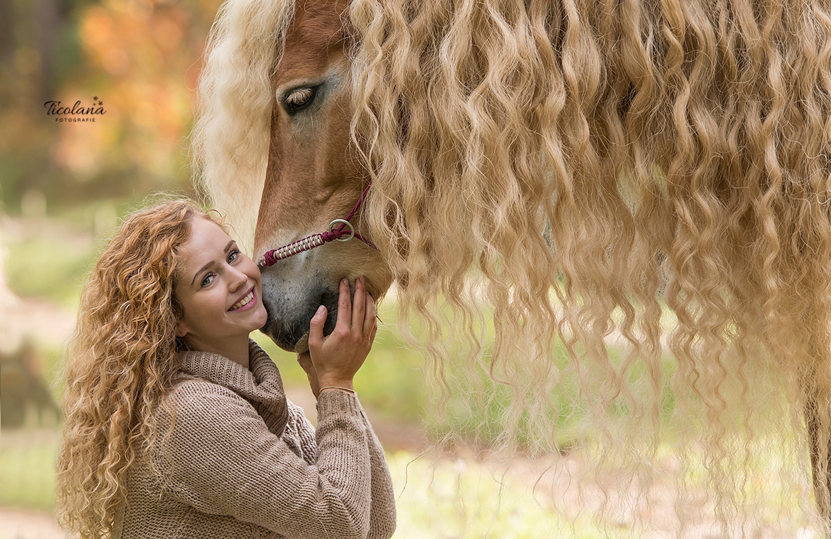 paardenfotografie