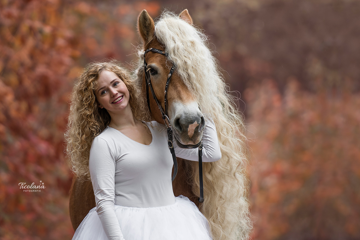 paarden fotografie